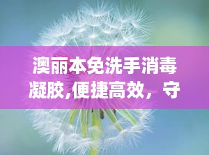 澳丽本免洗手消毒凝胶,便捷高效，守护您和家人健康防线