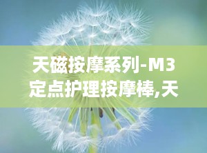 天磁按摩系列-M3定点护理按摩棒,天磁按摩系列-M3定点护理按摩棒：颠覆传统按摩体验