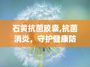 石黄抗菌胶囊,抗菌消炎，守护健康防线