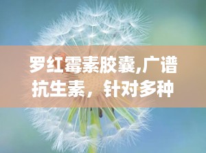 罗红霉素胶囊,广谱抗生素，针对多种感染性疾病的治疗选择