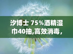 汐博士 75%酒精湿巾40抽,高效消毒，40抽便携，守护家庭健康防线