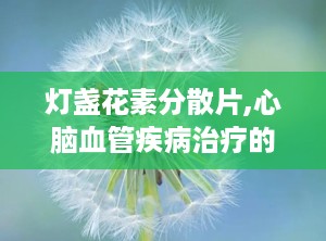 灯盏花素分散片,心脑血管疾病治疗的天然良方