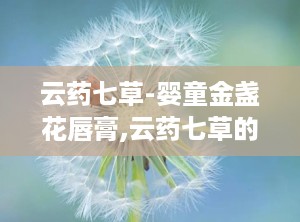 云药七草-婴童金盏花唇膏,云药七草的温馨守护