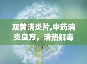 双黄消炎片,中药消炎良方，清热解毒，缓解多种不适