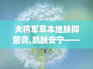 夫将军草本维肤抑菌膏,肌肤安宁——夫将军草本维肤抑菌膏，天然抑菌护肤良方