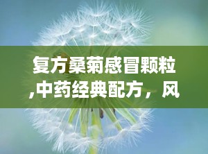复方桑菊感冒颗粒,中药经典配方，风热感冒克星