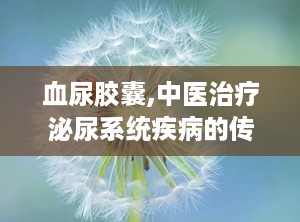 血尿胶囊,中医治疗泌尿系统疾病的传统良方