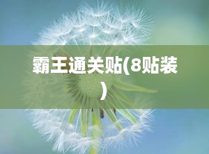 霸王通关贴(8贴装)