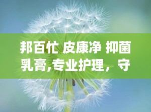 邦百忙 皮康净 抑菌乳膏,专业护理，守护肌肤健康