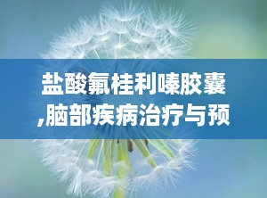 盐酸氟桂利嗪胶囊,脑部疾病治疗与预防的处方良药