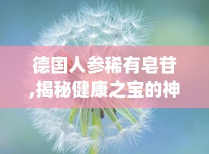 德国人参稀有皂苷,揭秘健康之宝的神奇功效与市场前景