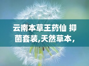 云南本草王药仙 抑菌套装,天然草本，守护全家健康防线”