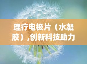 理疗电极片（水凝胶）,创新科技助力康复理疗新篇章