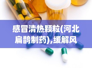 感冒清热颗粒(河北扁鹊制药),缓解风寒感冒，中医智慧守护健康