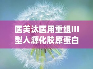 医芙汰医用重组III型人源化胶原蛋白软膏,重组III型人源化胶原蛋白，助力肌肤修复与年轻化