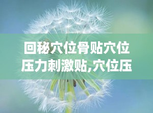 回秘穴位骨贴穴位压力刺激贴,穴位压力刺激贴，缓解颈肩腰腿疼痛的便捷之道