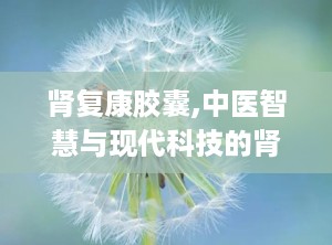 肾复康胶囊,中医智慧与现代科技的肾脏守护神