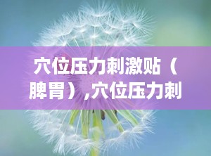 穴位压力刺激贴（脾胃）,穴位压力刺激贴，中医智慧与现代科技的完美融合