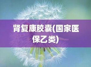 肾复康胶囊(国家医保乙类)