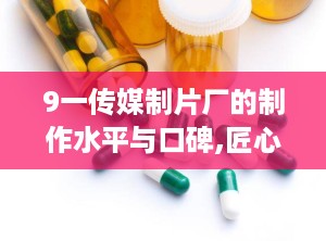 9一传媒制片厂的制作水平与口碑,匠心独运，口碑传颂的制作典范