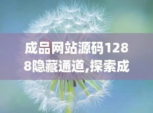 成品网站源码1288隐藏通道,探索成品网站源码中的神秘隐藏通道