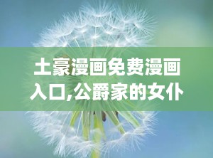 土豪漫画免费漫画入口,公爵家的女仆免费漫画入口，揭开贵族生活的奇幻篇章