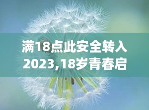 满18点此安全转入2023,18岁青春启航，安全转入2023新篇章