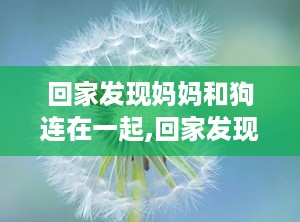 回家发现妈妈和狗连在一起,回家发现妈妈与流浪狗的温馨相依