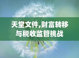 天堂文件,财富转移与税收监管挑战