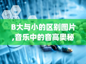 B大与小的区别图片,音乐中的音高奥秘解析