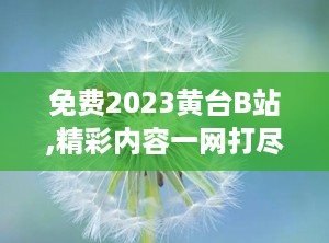 免费2023黄台B站,精彩内容一网打尽