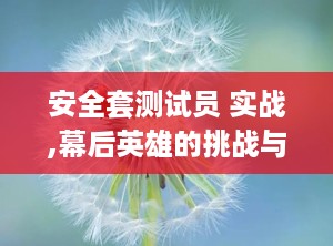 安全套测试员 实战,幕后英雄的挑战与职责
