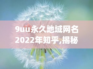 9uu永久地域网名2022年知乎,揭秘知乎热门话题背后的网络文化现象
