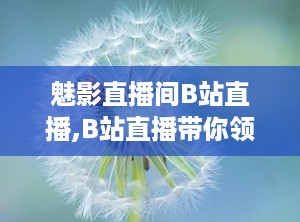 魅影直播间B站直播,B站直播带你领略虚拟世界的魅力