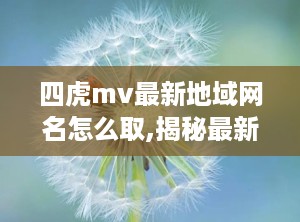 四虎mv最新地域网名怎么取,揭秘最新网名背后的文化内涵