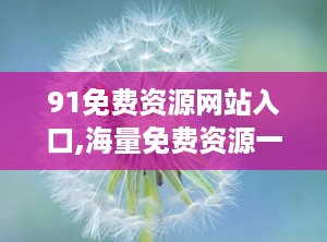91免费资源网站入口,海量免费资源一网打尽