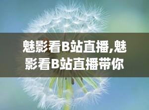魅影看B站直播,魅影看B站直播带你领略影视魅力