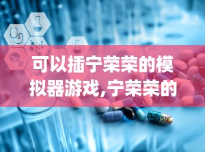 可以插宁荣荣的模拟器游戏,宁荣荣的奇幻冒险之旅——模拟器游戏深度解析