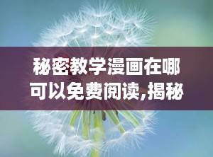 秘密教学漫画在哪可以免费阅读,揭秘各大平台获取途径
