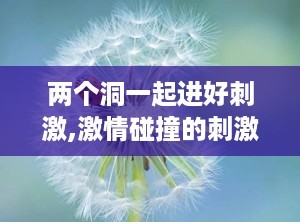 两个洞一起进好刺激,激情碰撞的刺激之旅