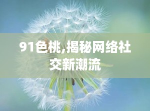 91色桃,揭秘网络社交新潮流