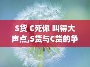 S货 C死你 叫得大声点,S货与C货的争议与市场真相