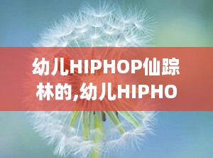 幼儿HIPHOP仙踪林的,幼儿HIPHOP仙踪林的奇幻之旅