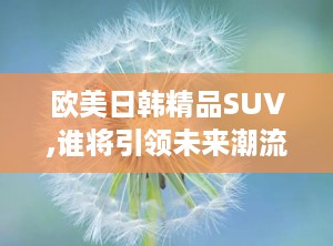 欧美日韩精品SUV,谁将引领未来潮流？