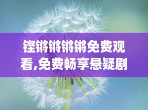 铿锵锵锵锵免费观看,免费畅享悬疑剧情，揭秘神秘森林之谜