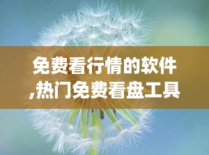 免费看行情的软件,热门免费看盘工具推荐”
