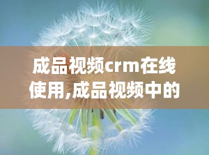 成品视频crm在线使用,成品视频中的高效客户关系管理实践