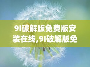 9I破解版免费版安装在线,9I破解版免费版安装指南全解析
