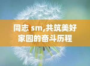 同志 sm,共筑美好家园的奋斗历程