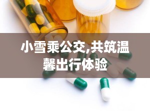 小雪乘公交,共筑温馨出行体验